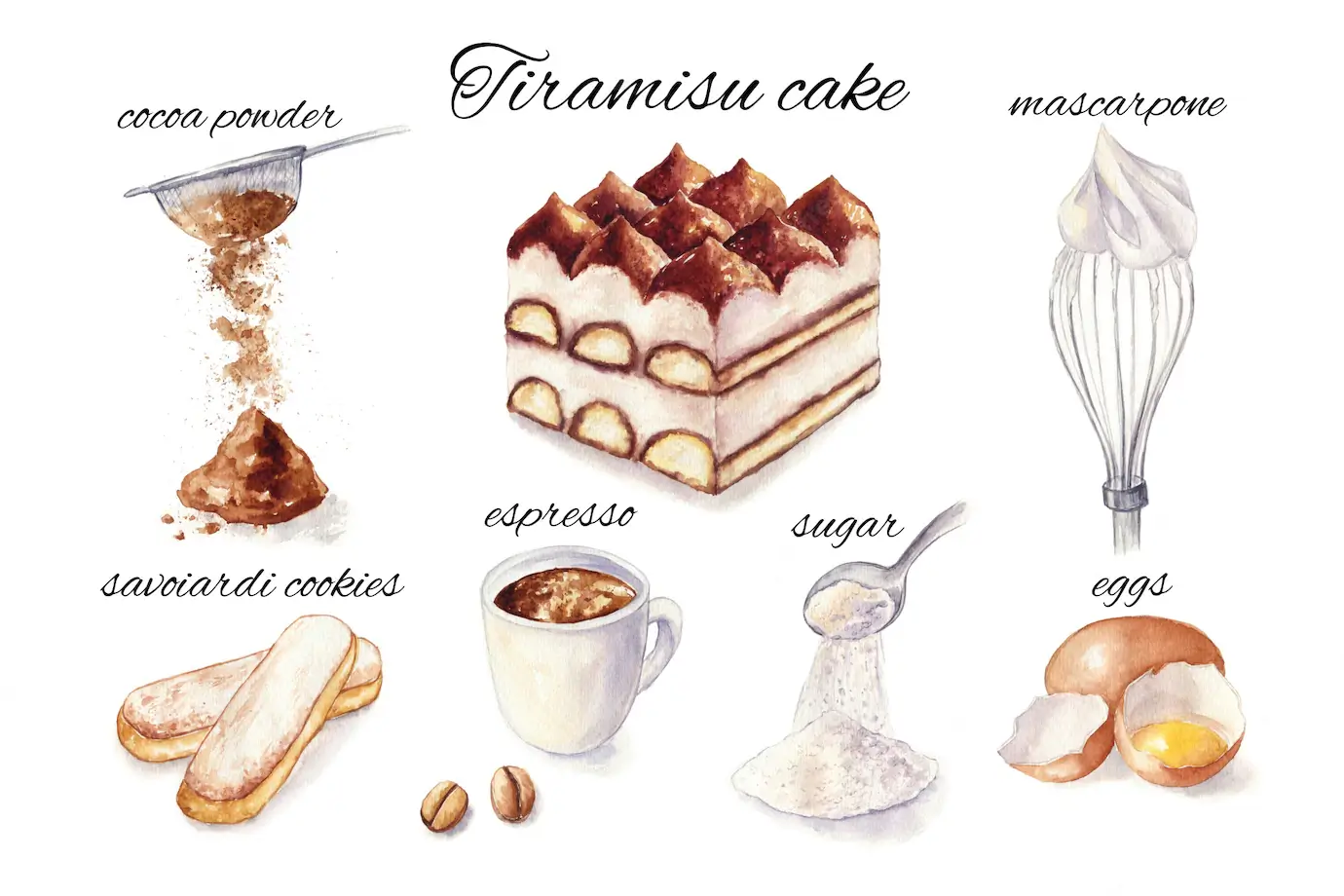 tiramisu ingredient illustration